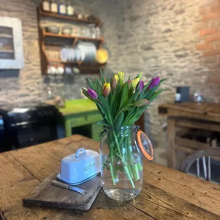 Prázdninový dům Castle Street Balnacart